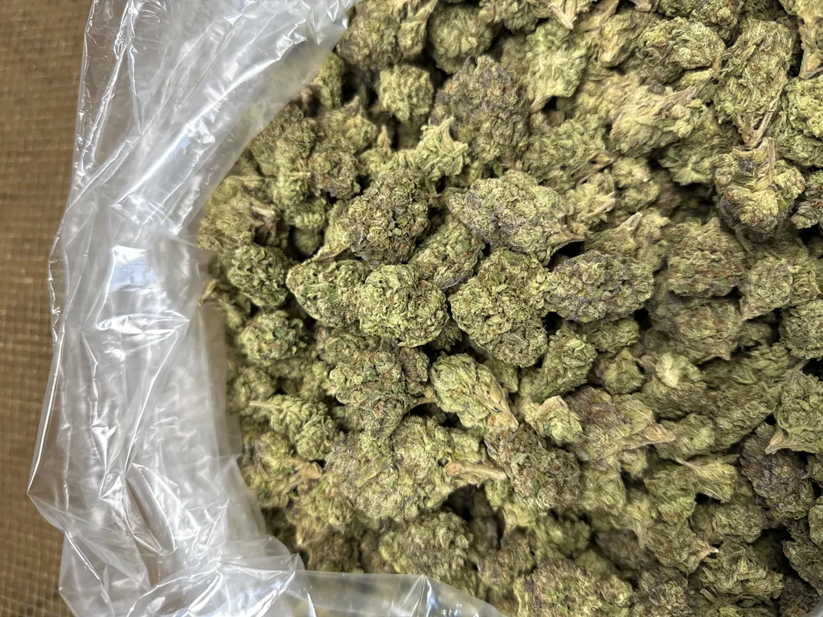 Lemon Cherry Gelato Flower